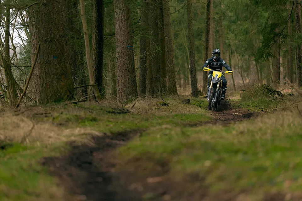 Motorcyclist riding a yellow dirt bike on a narrow forest trail surrounded by tall trees and green grass.